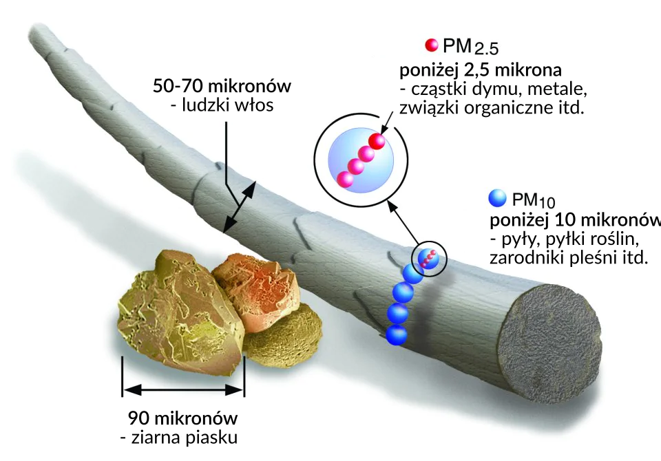 Rysunek zestawiający rozmiary pyłów PM2,5 (poniżej 2,5 mikrona) i PM10 (poniżej 10 mikronów) ze średnicą włosa (rzędu 50-70 mikromentrów) i ziarna piasku (rzędu 90 mikrometrów).