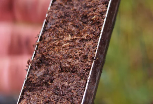 Zdjęcie: rdzeń torfowy, czyli podłużna próbka torfu. Widać nieregularną strukturę z fragmentami zgniecionych traw i mchów. Autor: Wiktor Kotowski. 