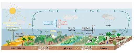 Schemat pokazujący wymianę gazów cieplarnianych między ekosystemami naturalnymi a zarządzanymi przez ludzi.