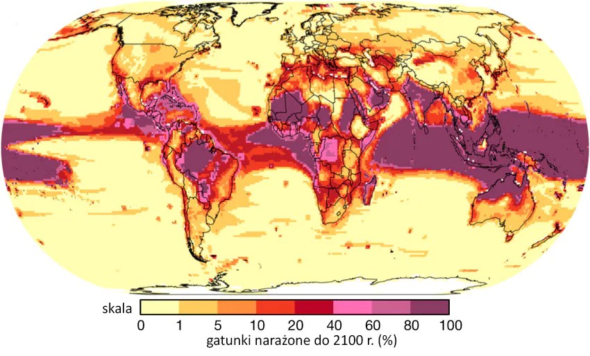 Mapa: odsetek gatunków narażonych na zmianę warunków życia w poszczególnych częściach świata. Największy odsetek (bliski 100%) w tropikach. 