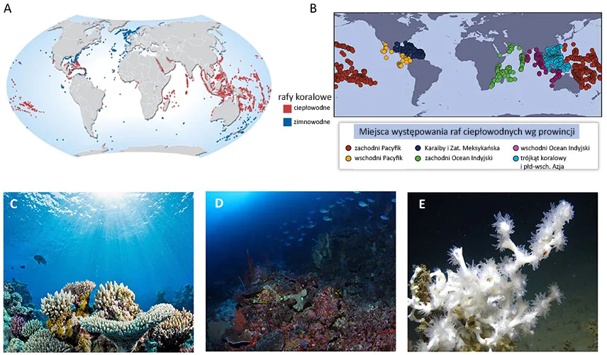 Mapy i zdjęcia pokazujące rozmieszczenie raf koralowych i ich wygląd.