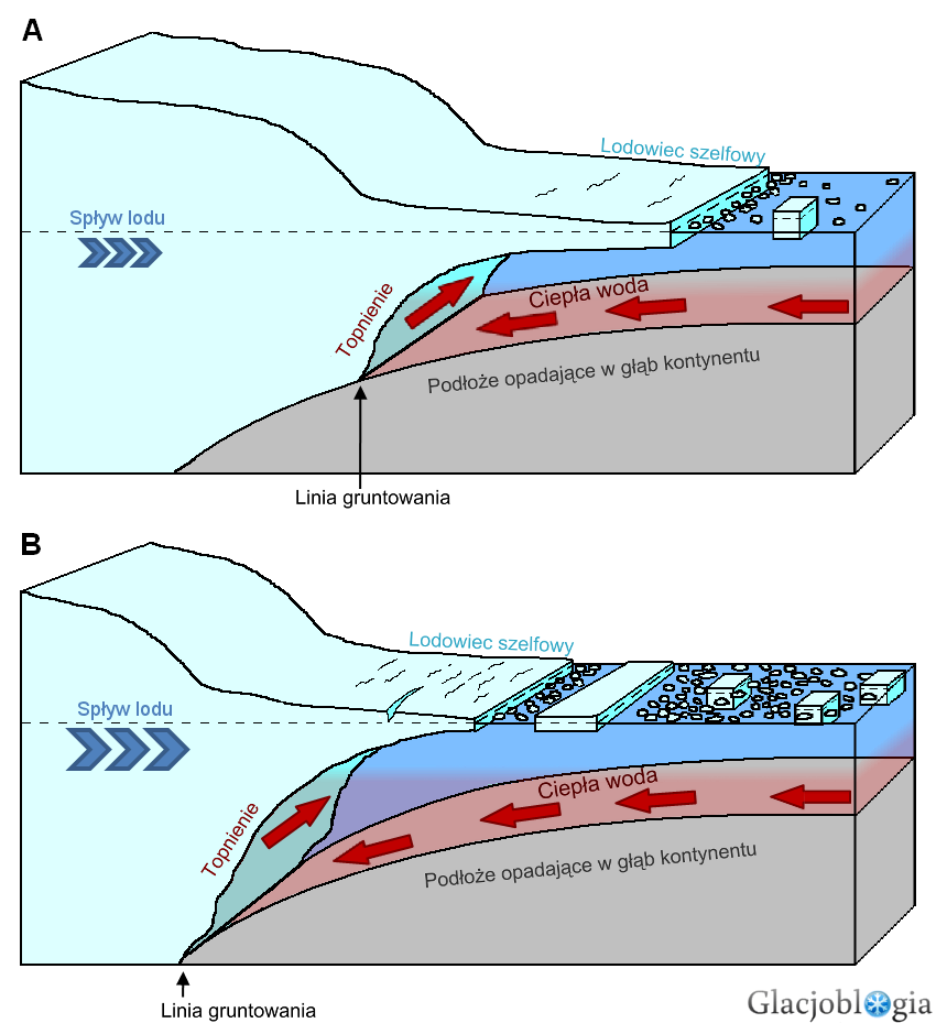 Schemat: lodowiec szelfowy i jego kontakt z podłożem oraz wodą oceaniczną. 