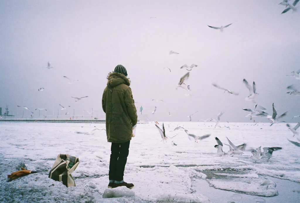 Polska zima: zdjęcie człowieka stojącego na brzegu lodu morskiego, wokół mewy.