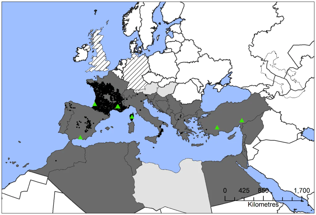 Mapa: zasięg korowódki śródziemnomorskiej w Europie i Afryce północnej.