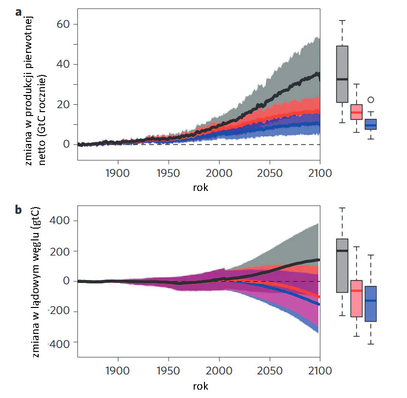 Wykres: Porównanie wyników modelowania uwzględniającego ograniczoną dostępność azotu i fosforu z wynikami eksperymentu numerycznego CMIP5 (uwzględnionego w piątym raporcie IPCC)