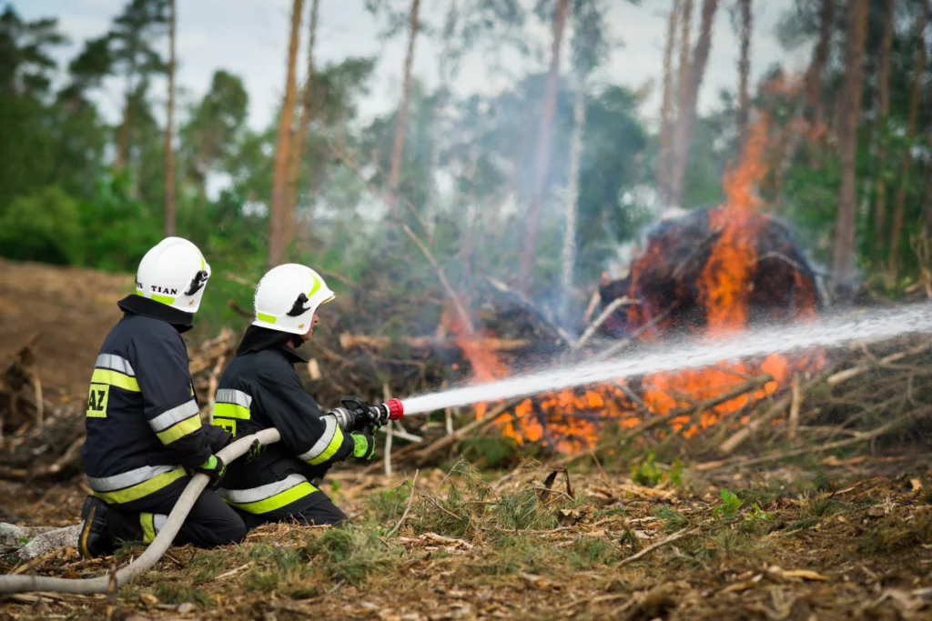 Zdjęcie ilustracyjne: straż pożarna podczas ćwiczeń z gaszenia pożaru lasu. 
