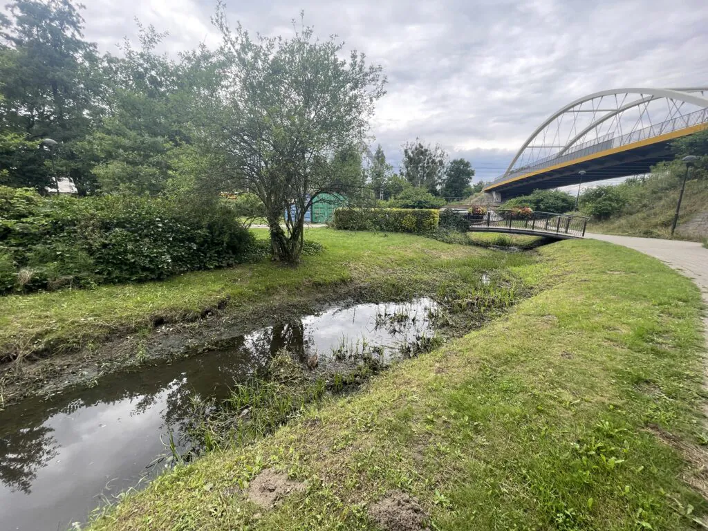 Zdjęcie: susza w Polsce, 2025. Wysychająca rzeka Rokicianka.