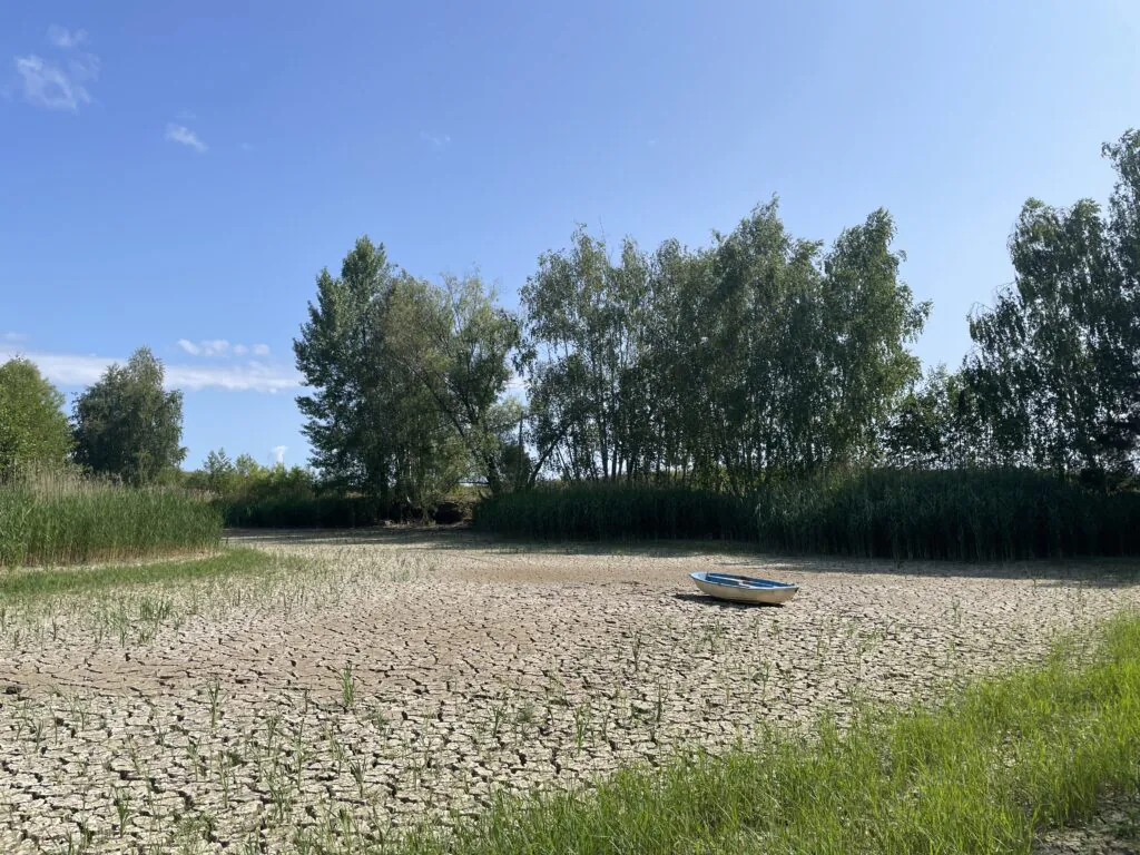 Zdjęcie dekoracyjne: susza w Polsce - wyschnięty staw. 