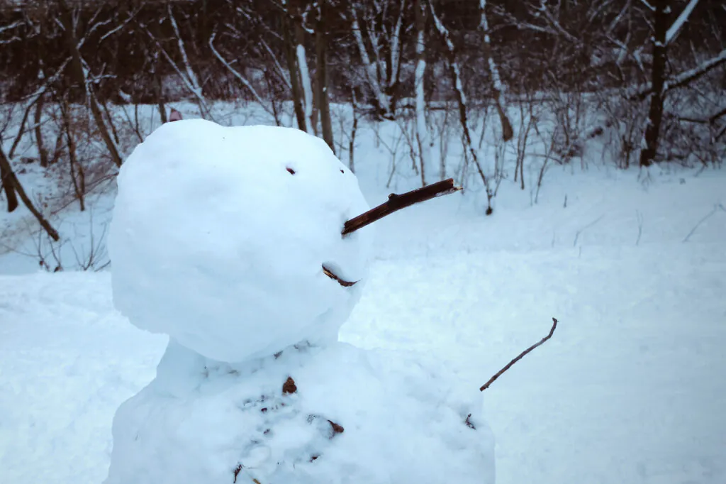 Zdjęcie dekoracyjne: styczeń 2026, bałwan śniegowy.