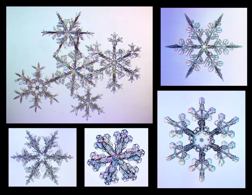 Zdjęcia mikroskopowe: płatki śniegu.