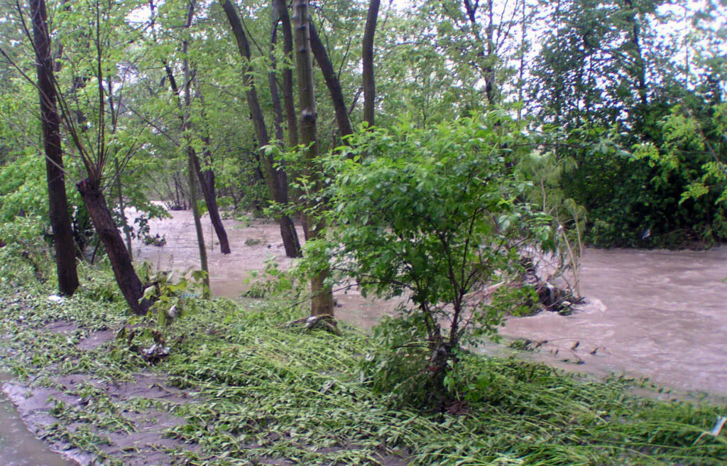 Zdjęcie: wezbrany potok.