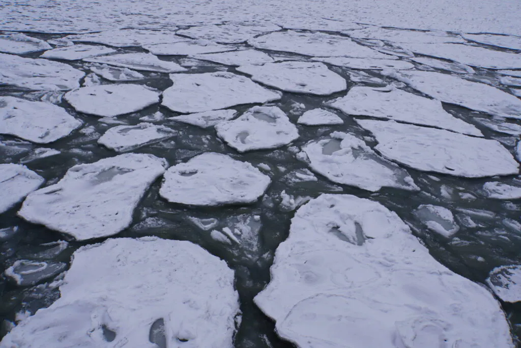 Zdjęcie: lód morski na wybrzeżu Sopotu, duże, wyraźnie rozdzielone kry pokryte śniegiem.