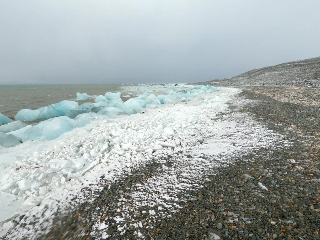 Zdjęcie: odłamki lodu lodowcowego na plaży, Isbjørnham, Spitsbergen.
