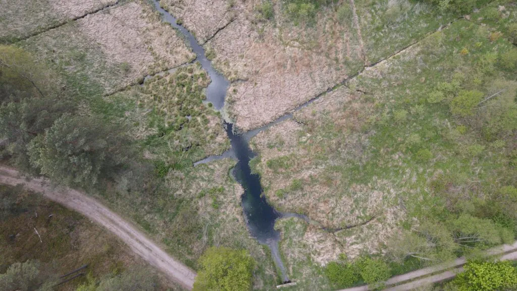 Zdjęcie dronowe: widziane z góry torfowisko z podpiętrzonym poziomem wody, Pomorze.